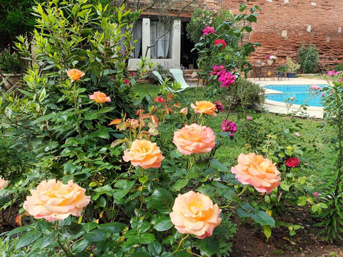 L'Arche De Moissac Bed & Breakfast Exterior photo